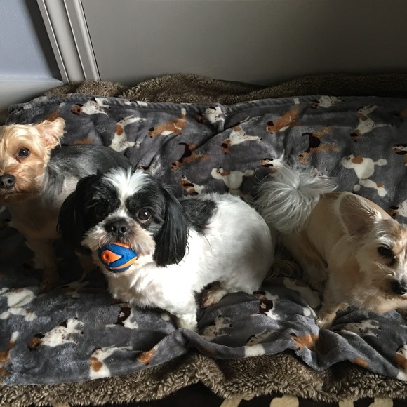 Meet your Posher, James - Picture 1 of 1